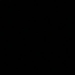 Meet your Posher, Mia